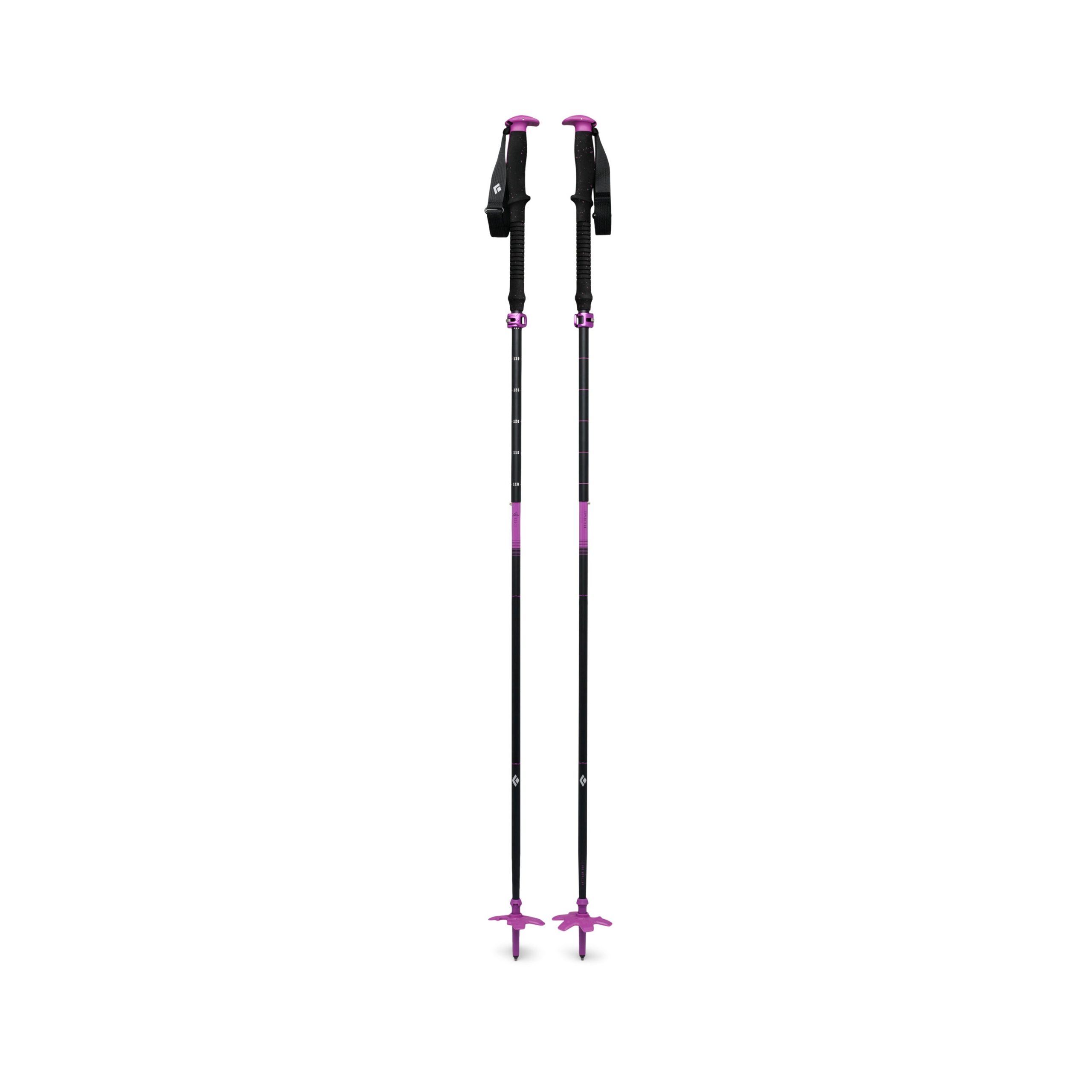 Expedition Ski Poles - Image 2